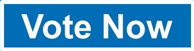 Vote Now 2023 Dublin Chamber Council elections Vote Now 2023 Dublin Chamber Council elections